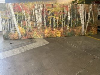 Oversized Canvas Wall Art – Peaceful Lake with Rowboat – 12ft x 4ft – $750 (Wauconda, IL)