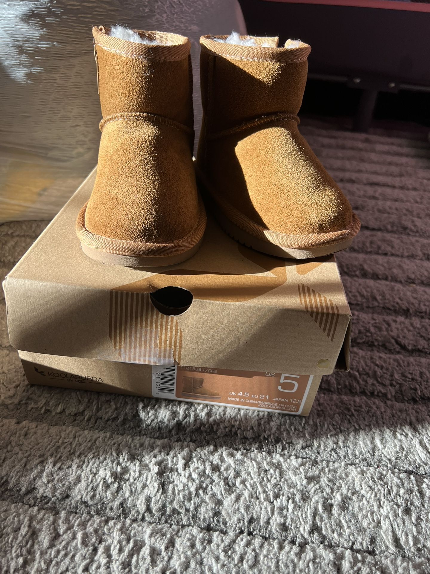 Ugg Koala