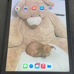 iPad 7th Generación 32 Gb