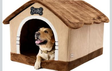 Jumbo inside dog house
