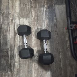 25lb dumbbells