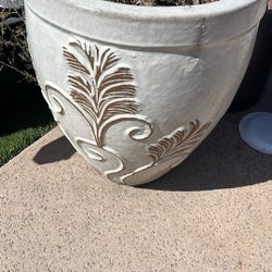 Plant pots