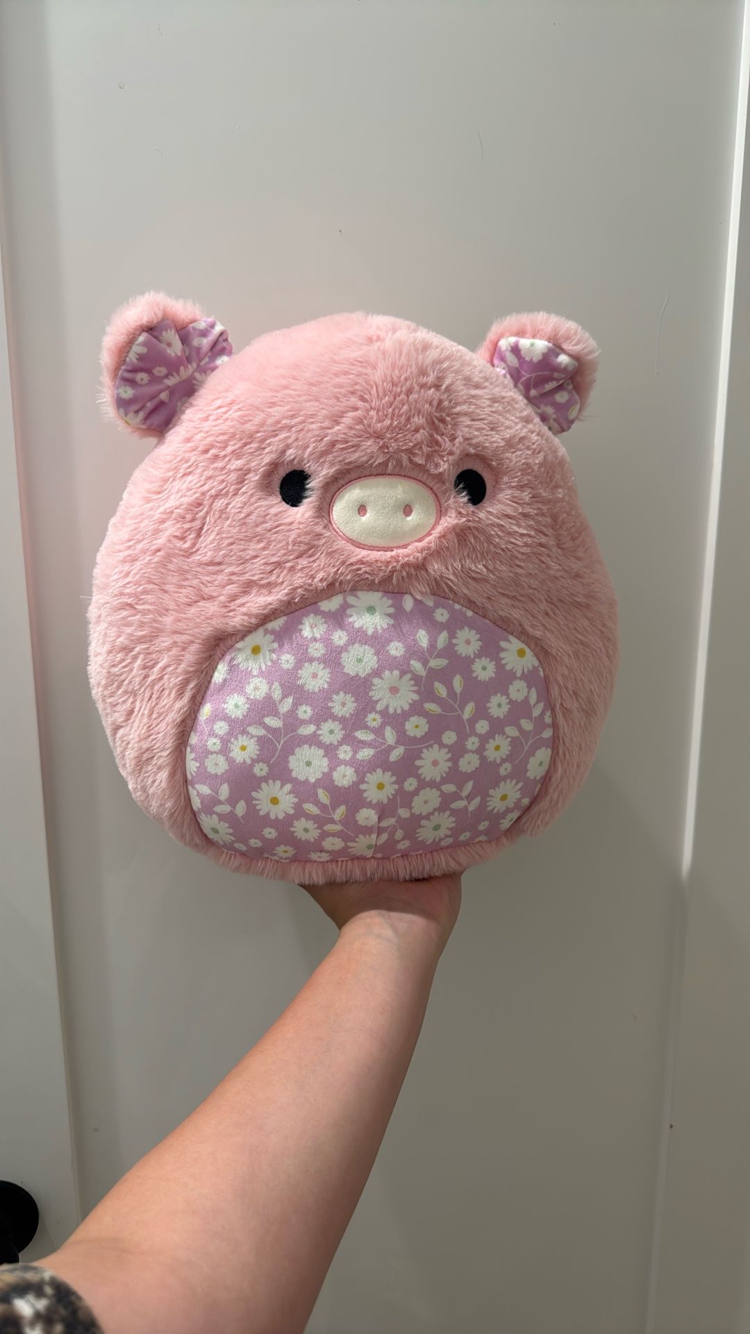 12” Peter Pig Squishmallow