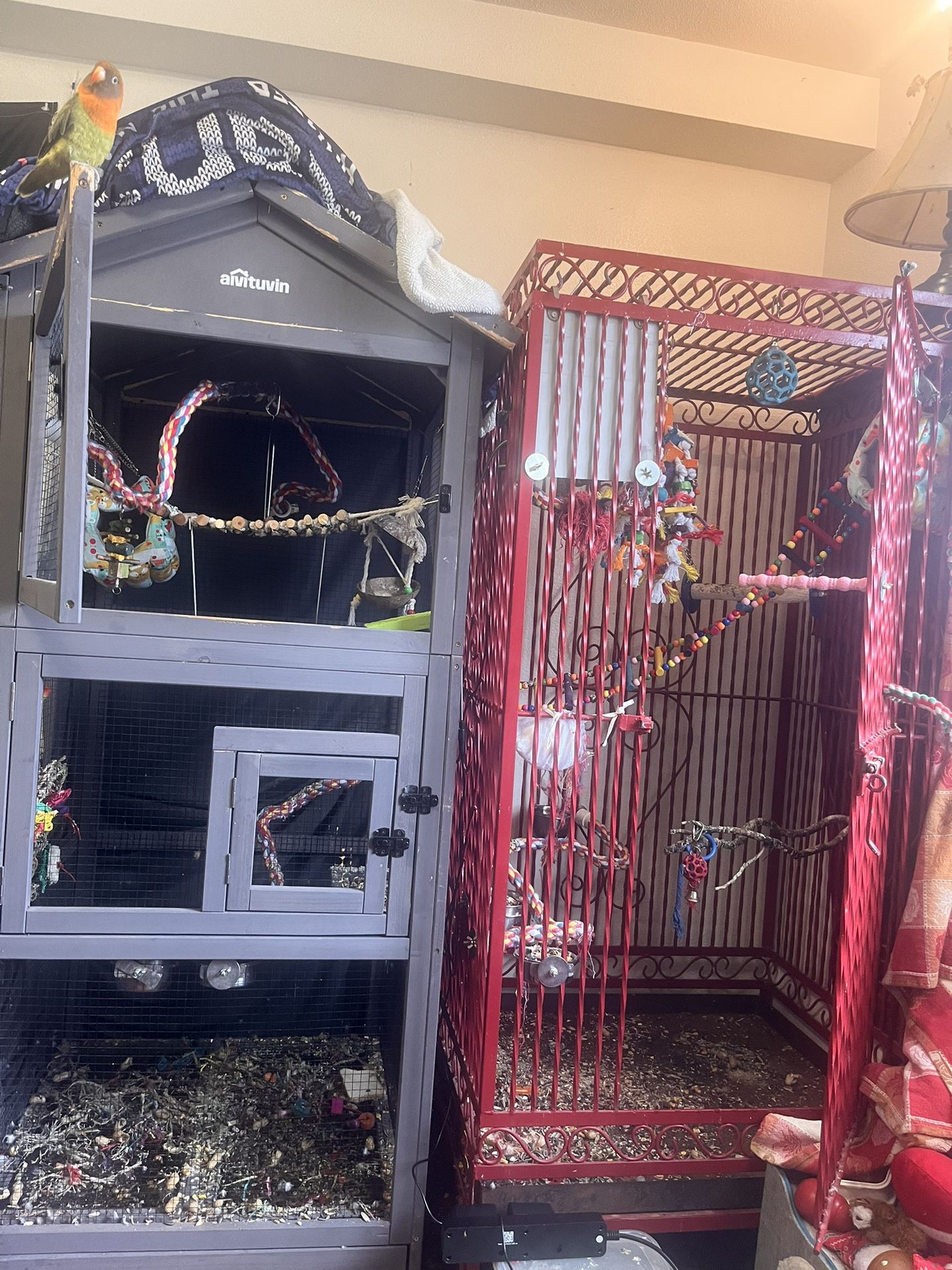 Bird Cages W/toys
