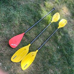 Paddle Board Ores