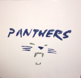 Carolina Panthers Gift Boxes