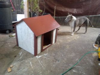 Med Size Dog House