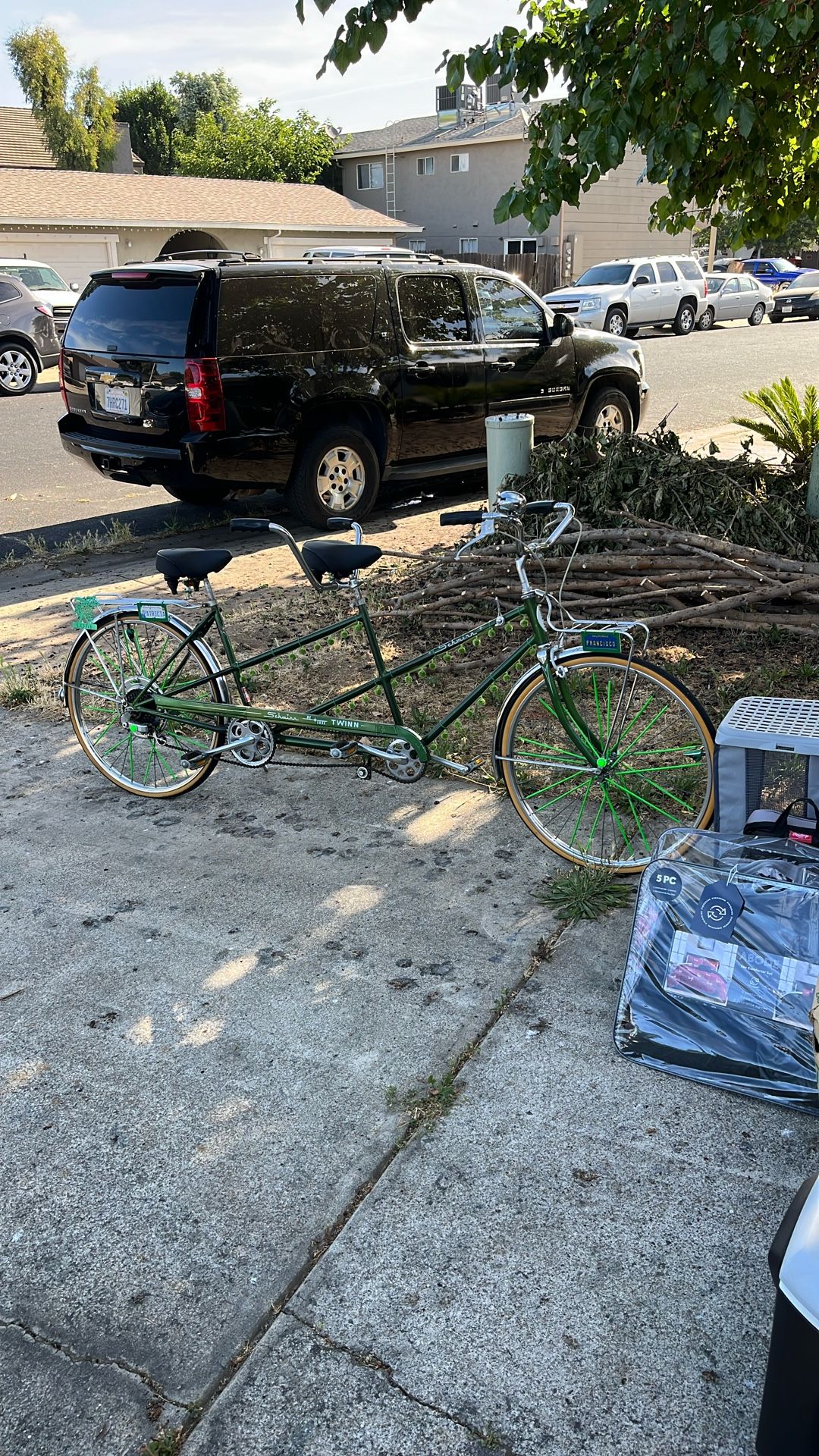Lowrider Schwinn Bike