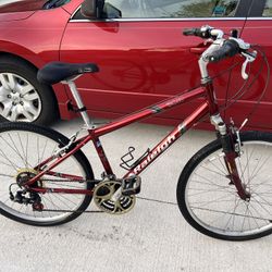 Mountain Bike Raleigh