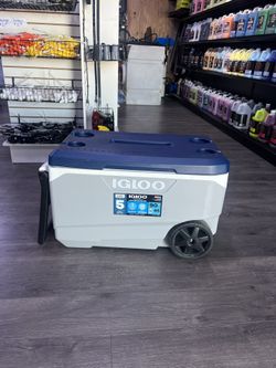 90 QT Igloo Cooler