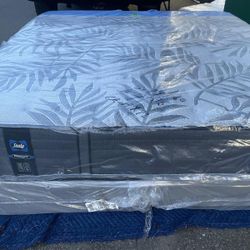 King Size Sealy Mattress And Box 