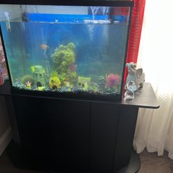 Fish Tank And Stand 