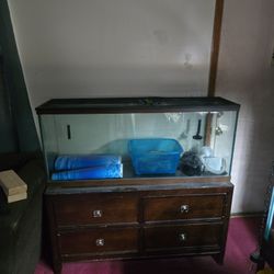 Reptile Tank