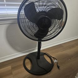 Fan