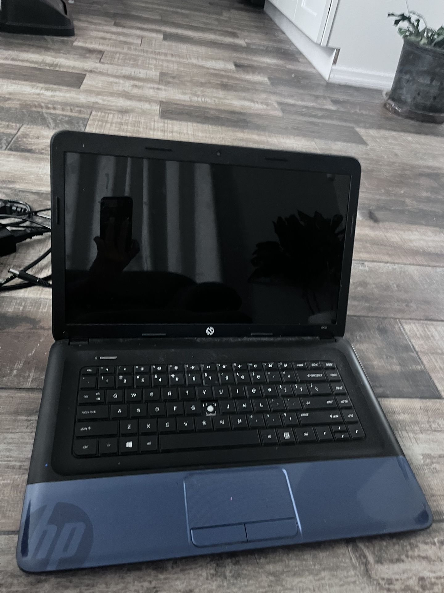 HP laptop (blue)