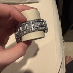 Swiss buss down watch