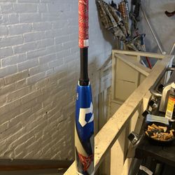 Baseball Bat