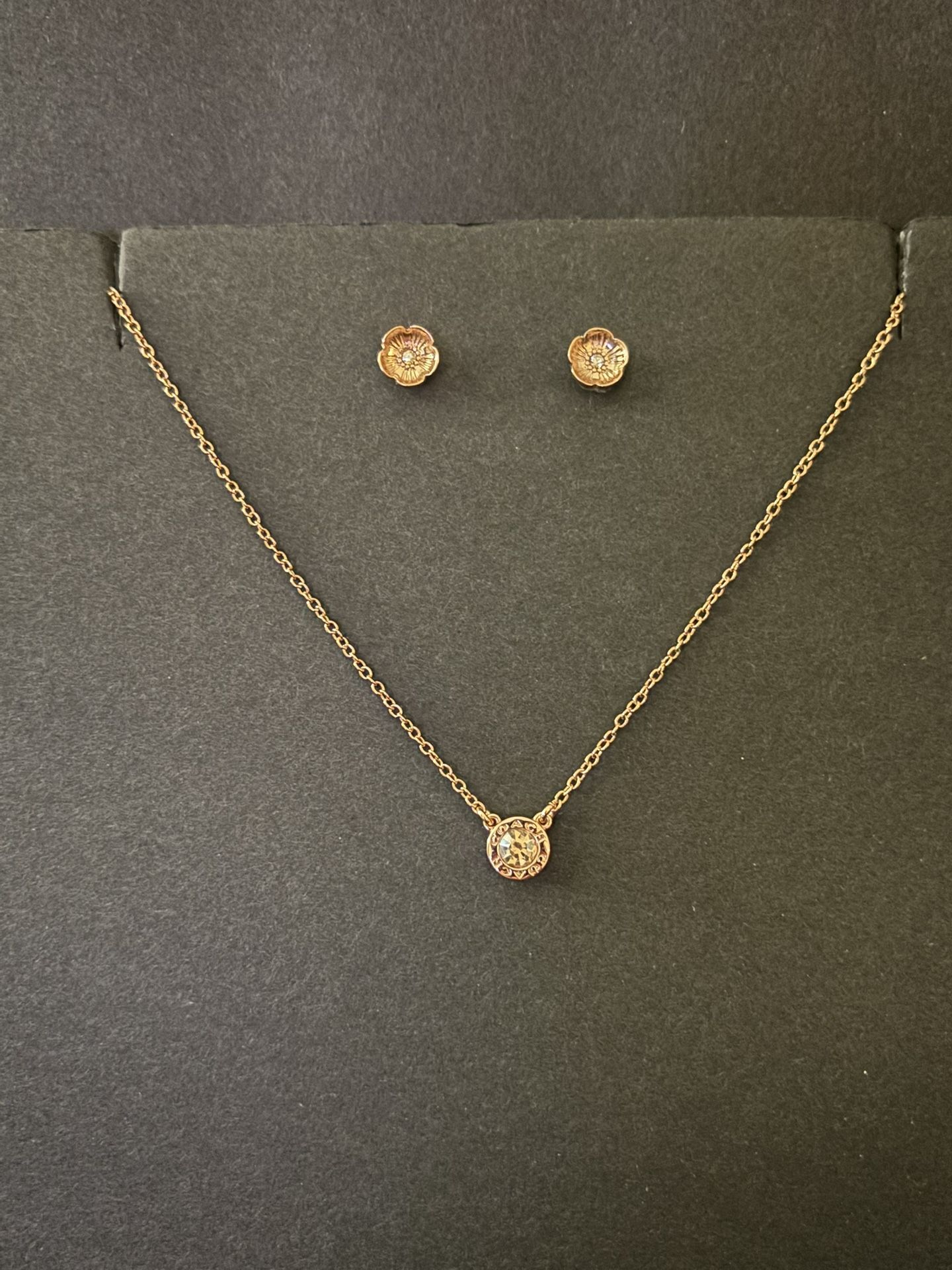 Coach Necklace & Earrings