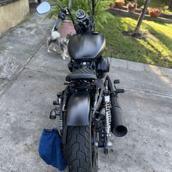 Harley Davidson 2017 TRADES 