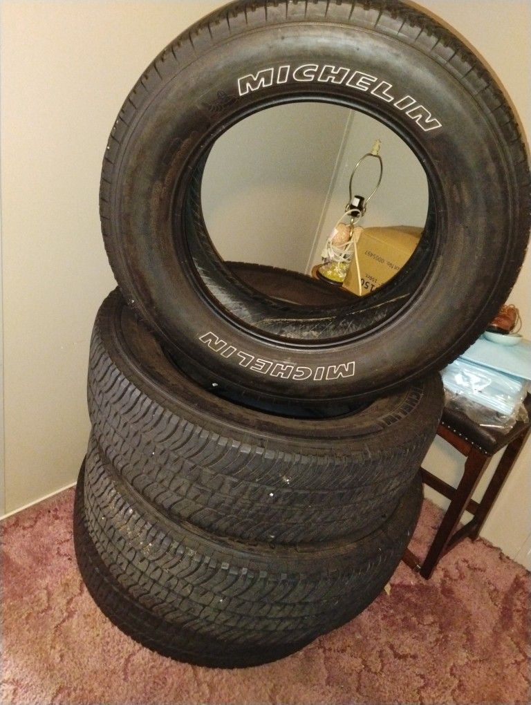 Michelin All Purpose Tires
