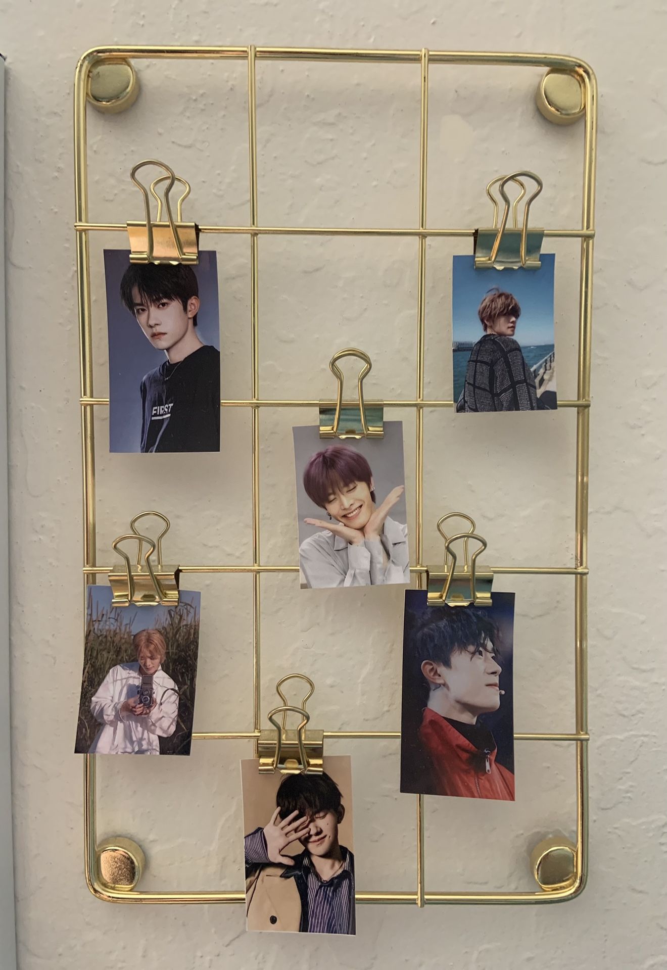 Wire Wall Grid With Clips, Gold