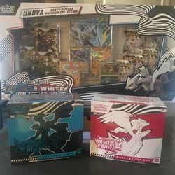 Pokémon Black Bolt And White Flare 