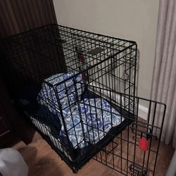 Kong Dog Crate 