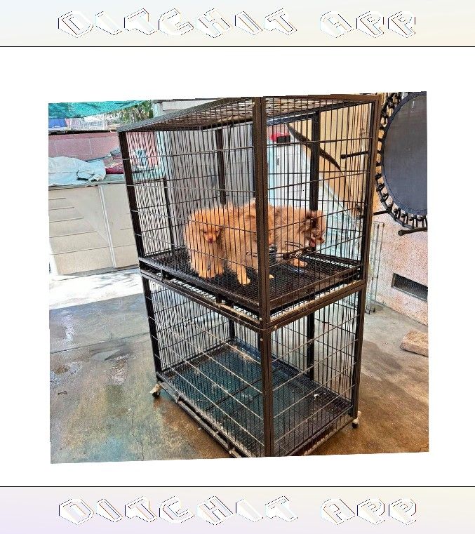Pet Cages in Multiple Forms to Match All Pet Types us money