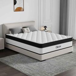 [New] 12" Hybrid King Mattress by Elixarx