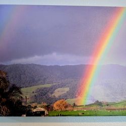 16x20 Canvas Print - New Zealand Landscape with Rainbow