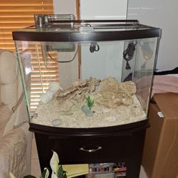 Aquarium with light stand filter