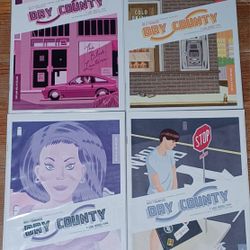 Dry Country 4 Comic Book Lot Crime Series Issue 2 5 Four 3 Rich Tommaso 