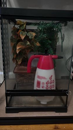 (need gone asap!!)Reptile Crested Gecko Enclosure