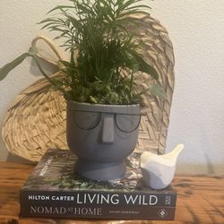 Modern Planter W/ Live Plants