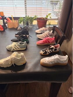 Brand new shoes 500 if you take all shoes