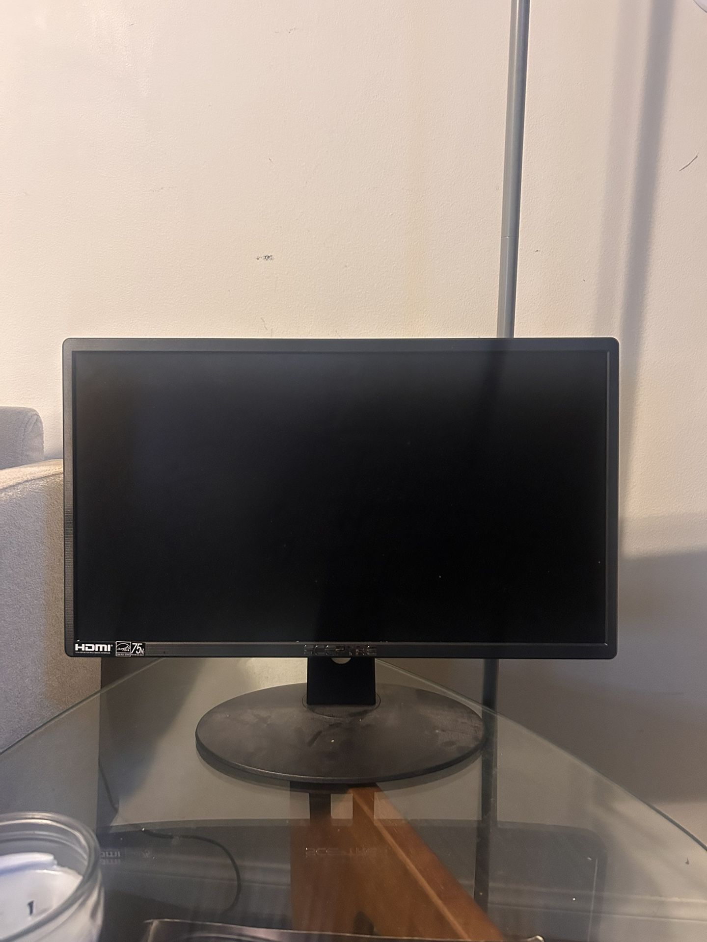 Sceptre 20” Monitor