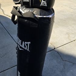 Punching Bag With Boxing Gloves And Chain