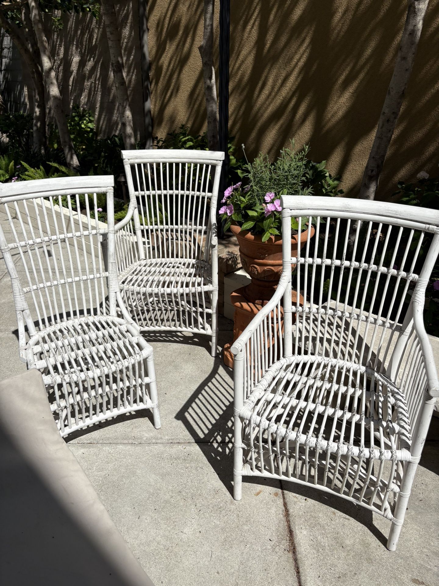 Wicker Chairs