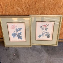 Paintings