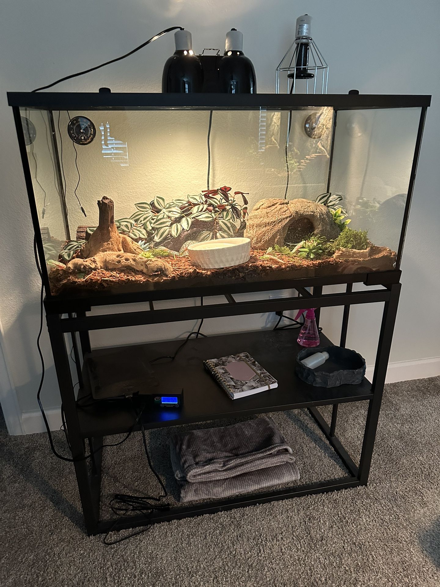 40 Gallon Tank and Stand