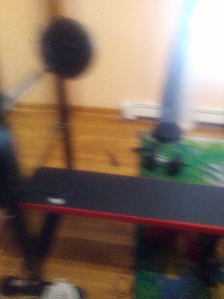 Weights And Bench