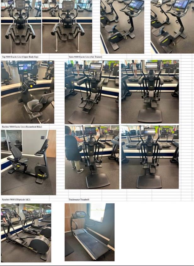 Techno Gym High End Cardio Like New