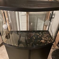 Bow Front Fish Tank With Stand 36 Gal
