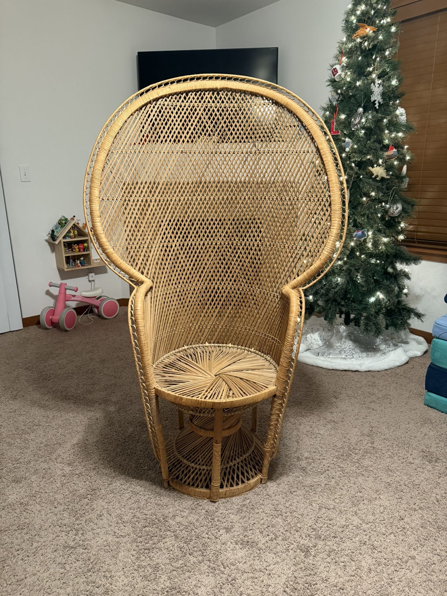 Peacock Chair
