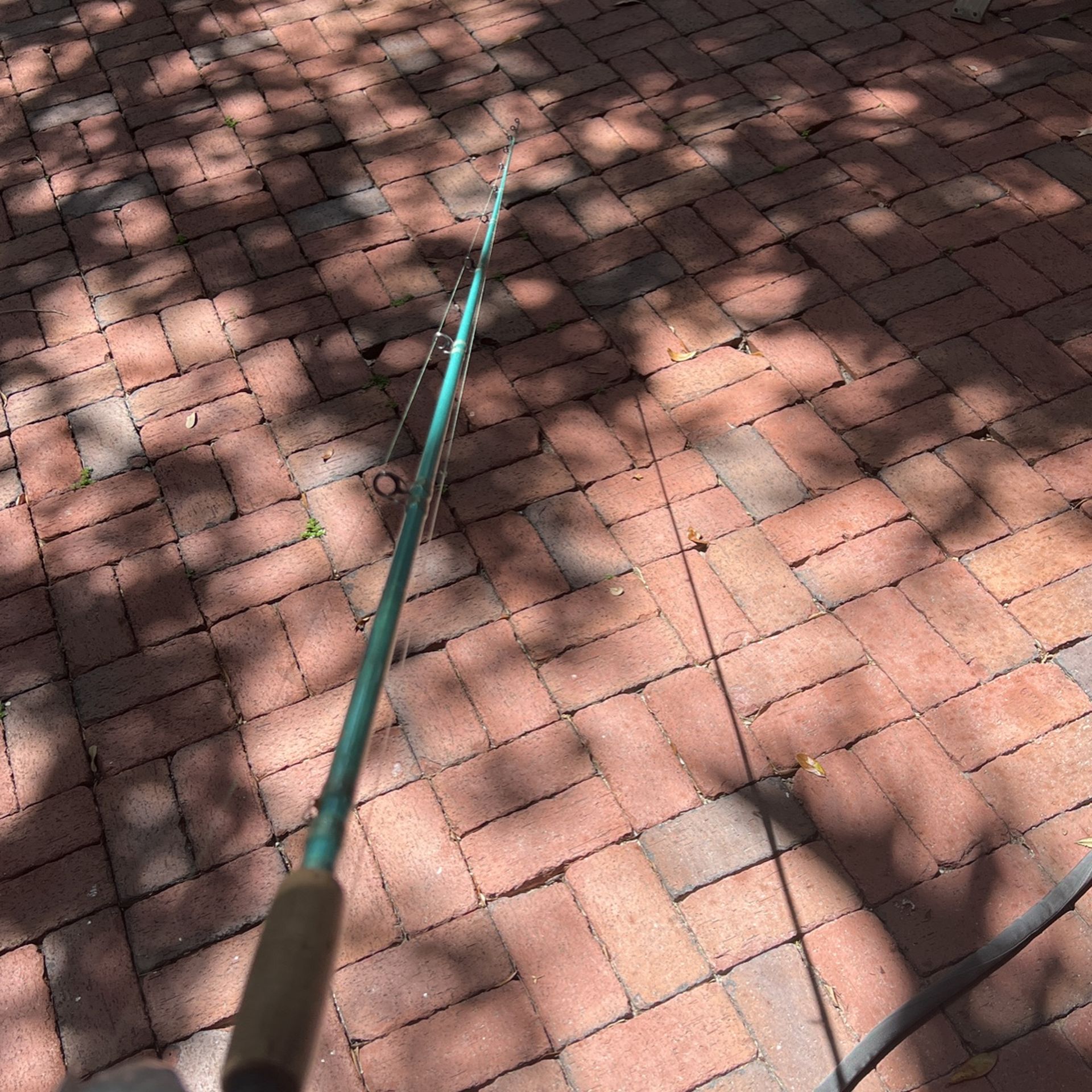 Baitcasting Saltwater Rod