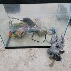 10g Fish Tank