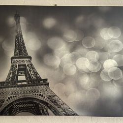 Printed Canvas Frame Wall Art