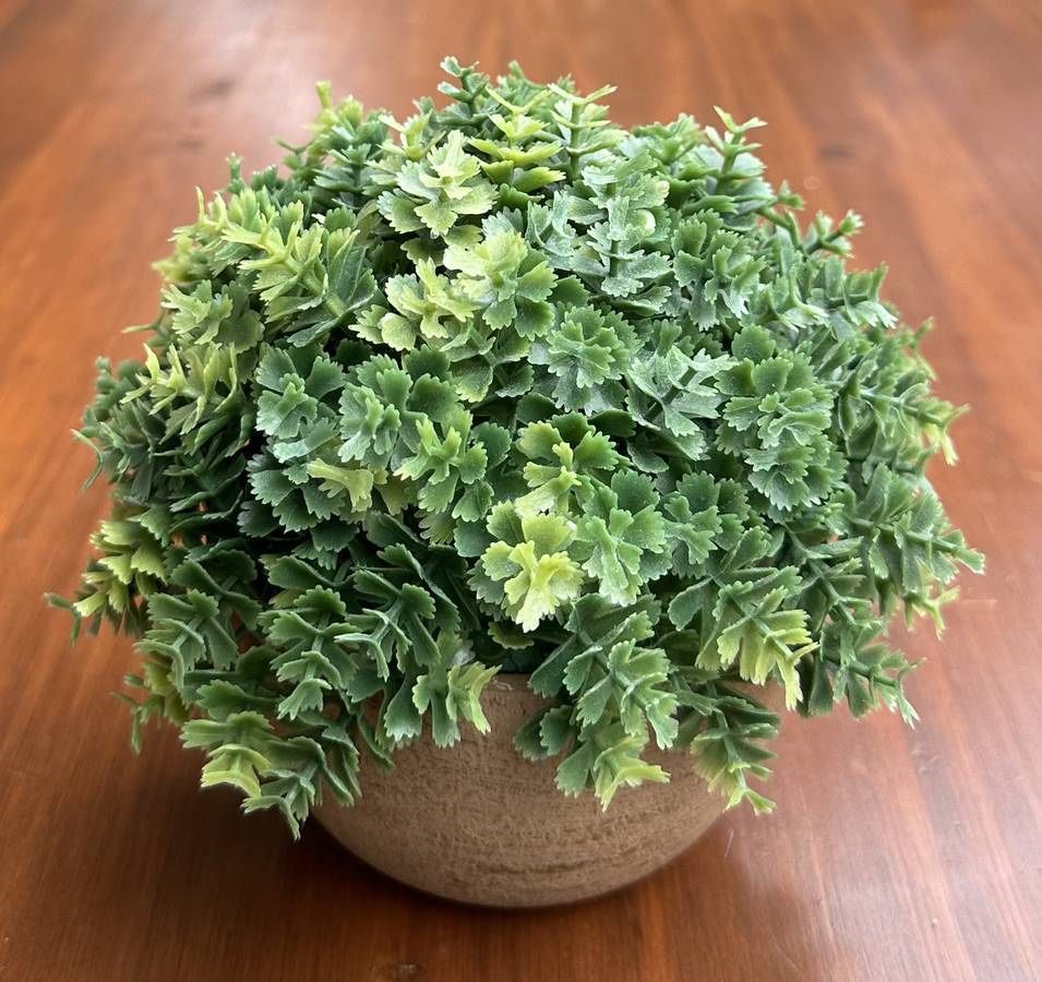 Artificial Succulent Orb Ball In Ceramic Pot Decor