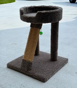 Cat Condo - New- Very Sturdy Petco