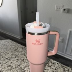 Pink Stanley Cup